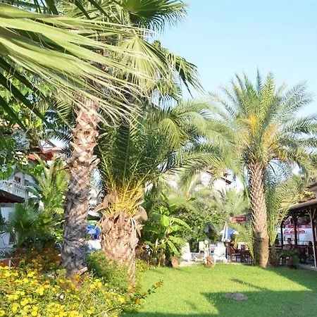 Duran Dalyan